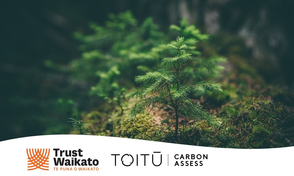 Little plant sprouting with Trust Waikato and Toitu Carbon Assess logos below.