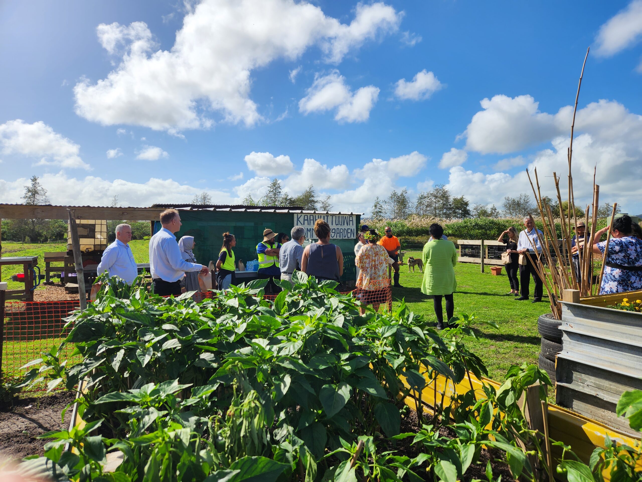Trust Waikato staff and trustees at Matawhaanui Trust's Maara Kai Garden, Kaahui Tuuwaa learning about their mahi