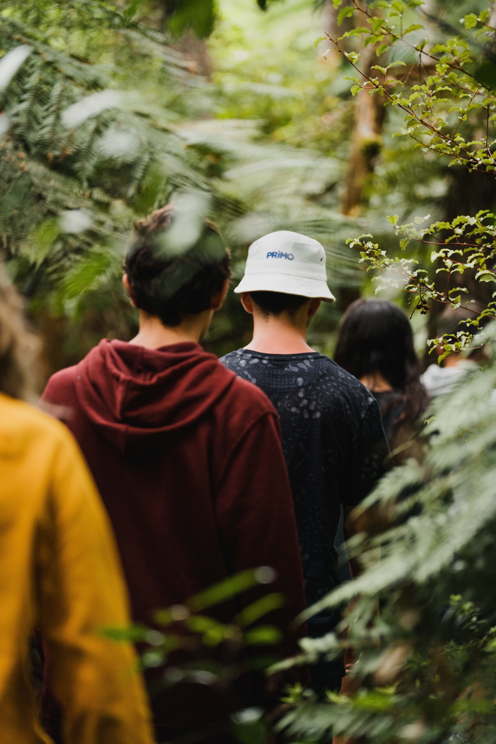 Teenagers walking in a line through the bush