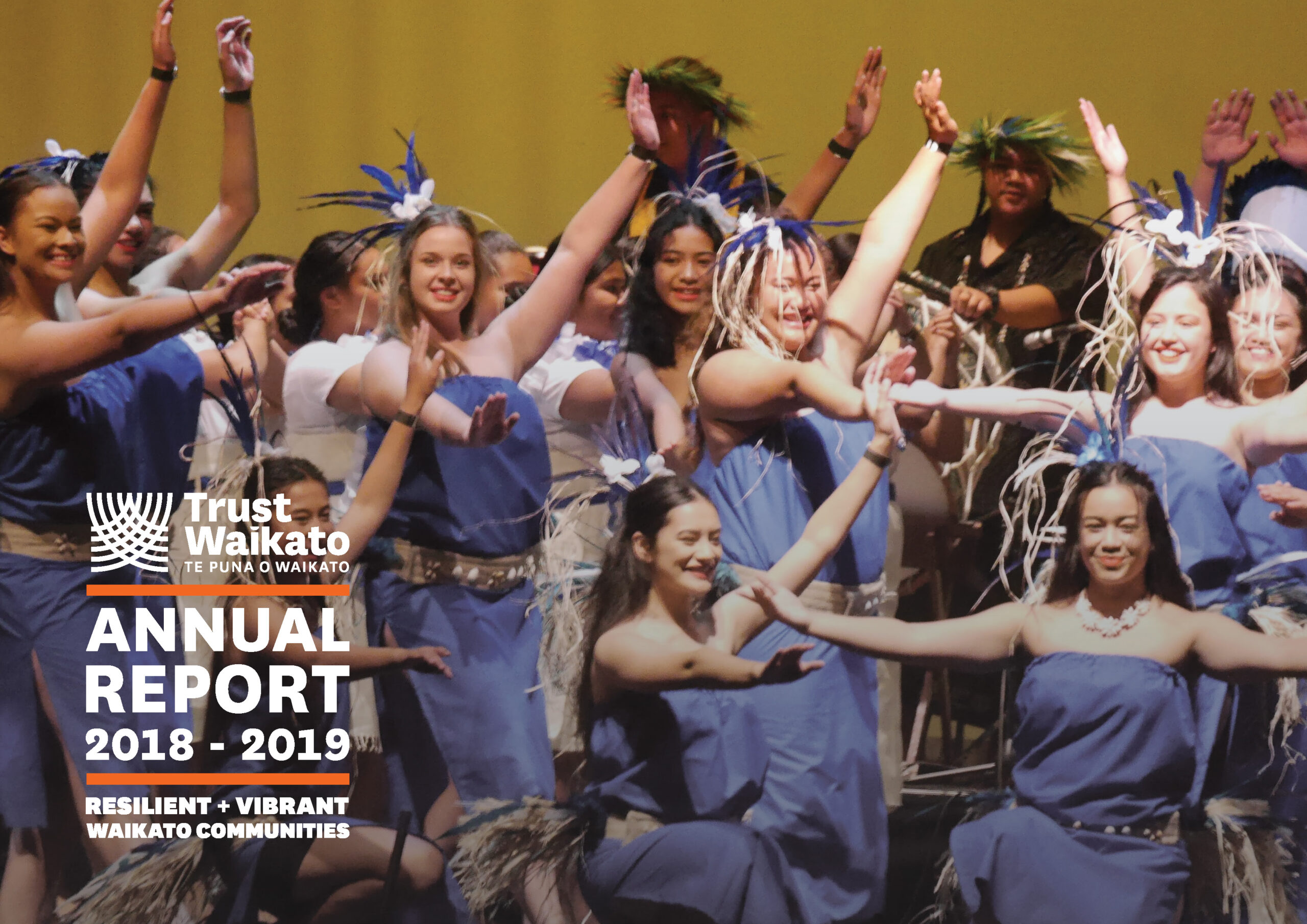 Annual Report 2018-2019 Cover