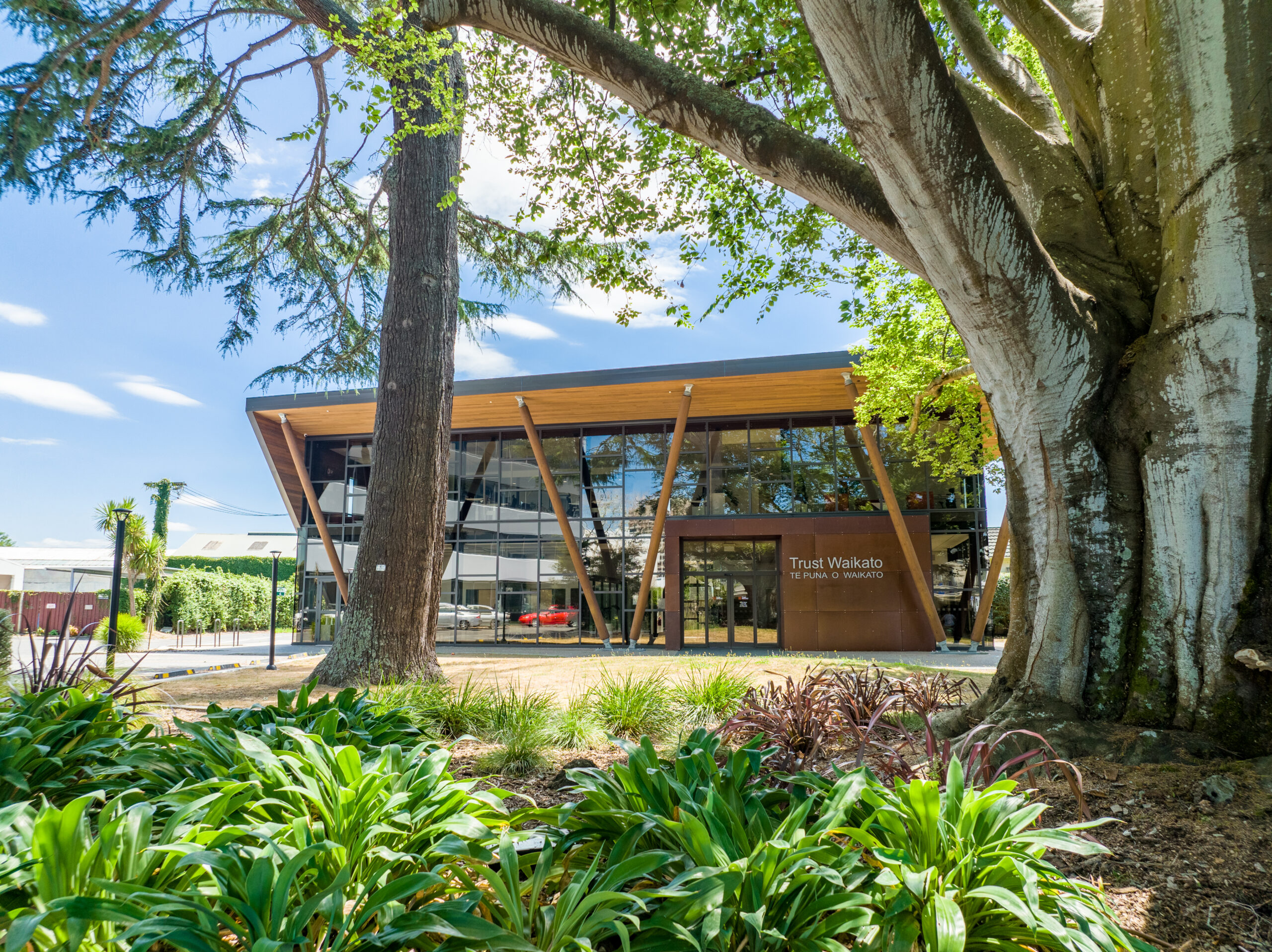 The Trust Waikato office and gardens